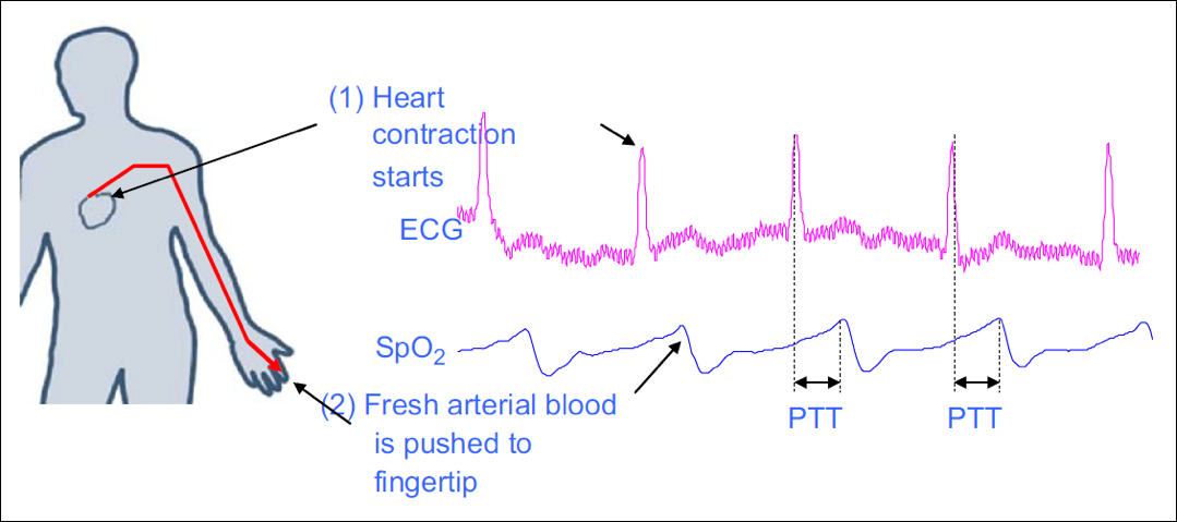 PTT Calculation Graph